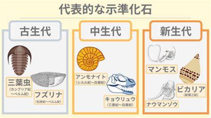 示準化石と地質時代の化石種類