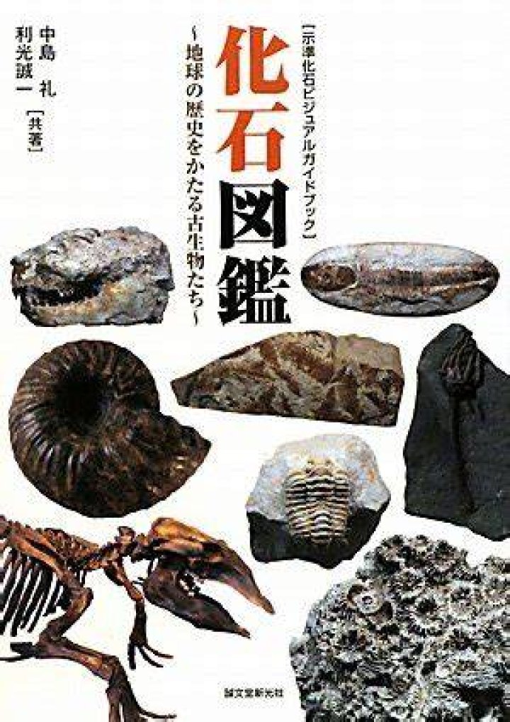示準化石の覚え方｜語呂合わせで完全マスター